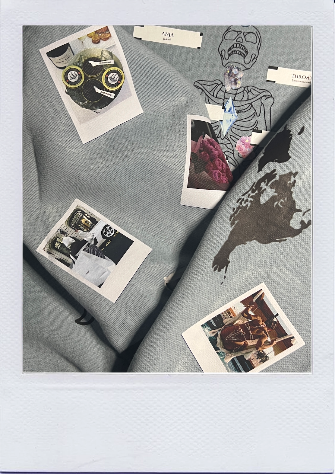 polaroid[s]